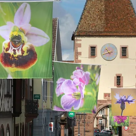 Hotel Tiptop Garni Pfauen