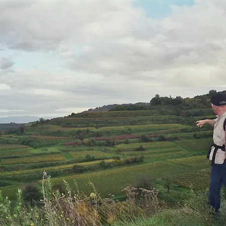 Tiptop Garni Pfauen 3*