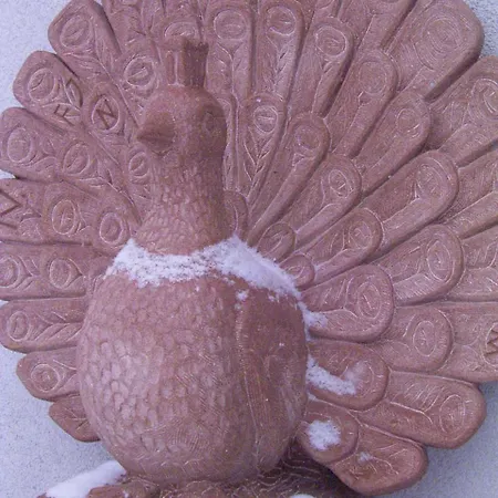 Tiptop Garni Pfauen Endingen am Kaiserstuhl